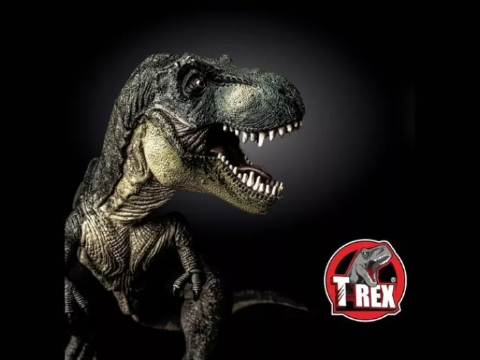 T-rex Soudal